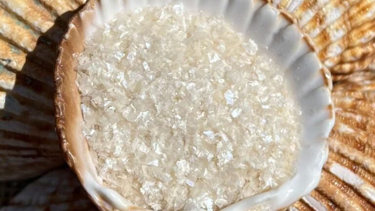 Purpurina blanca biodegradable en una concha marina